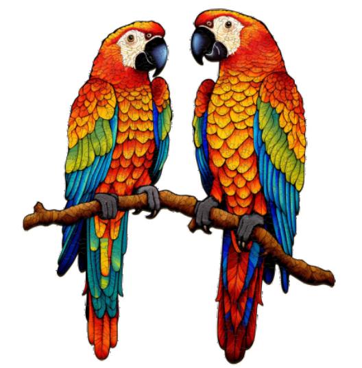 Chatting Parrots (S)