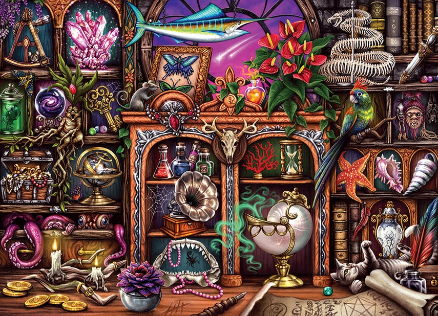 Cabinet of Curiosities 500pc