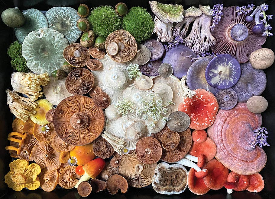 Mushroom Medley 1000pc