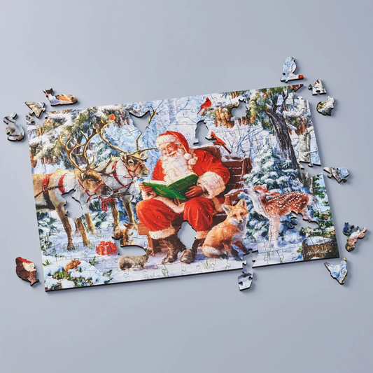 Christmas Curiosity 40pc
