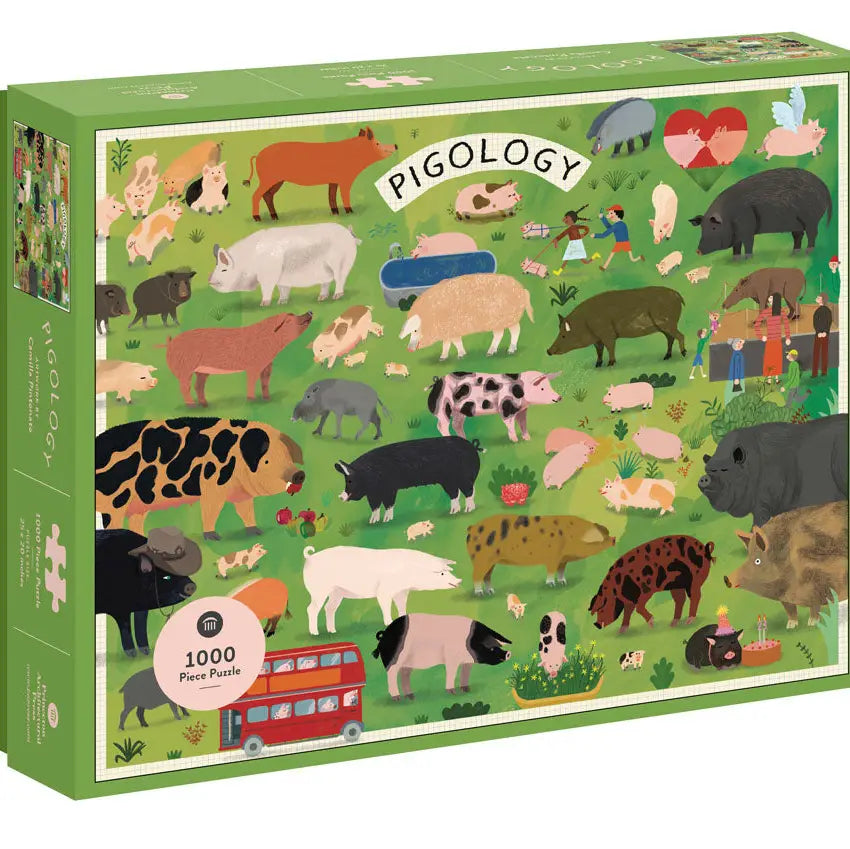 Pigology 1000pc