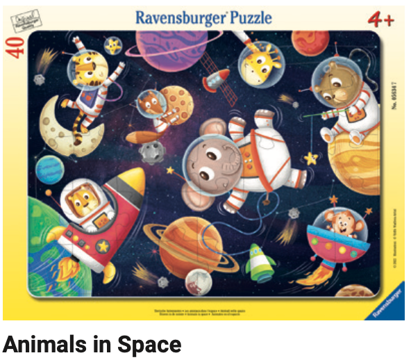 Animals in Space (Tray) 40pc