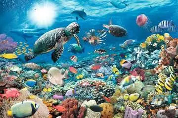 Underwater Tranquility Beneath the Sea 5000pc