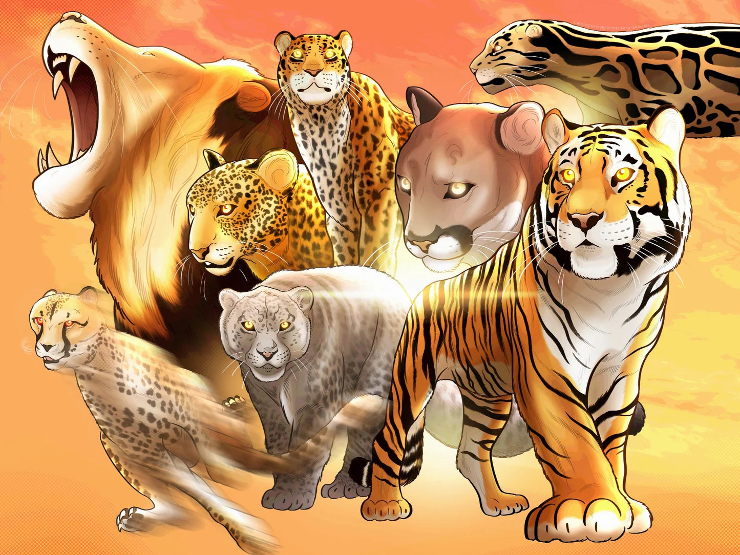 Big Cats 70pc