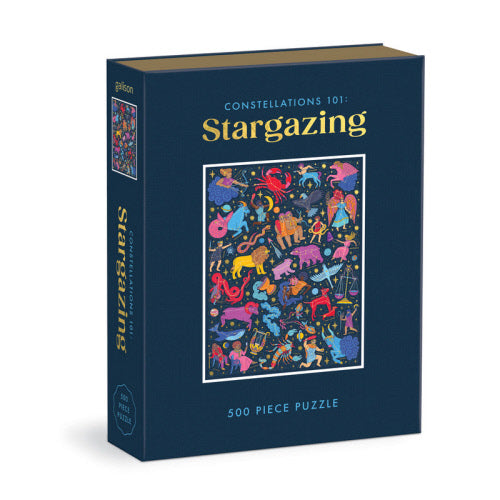 Constellations 101 Stargazing 500pc