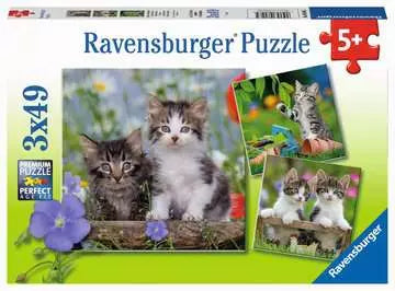 Cuddly Kittens 3x49pc