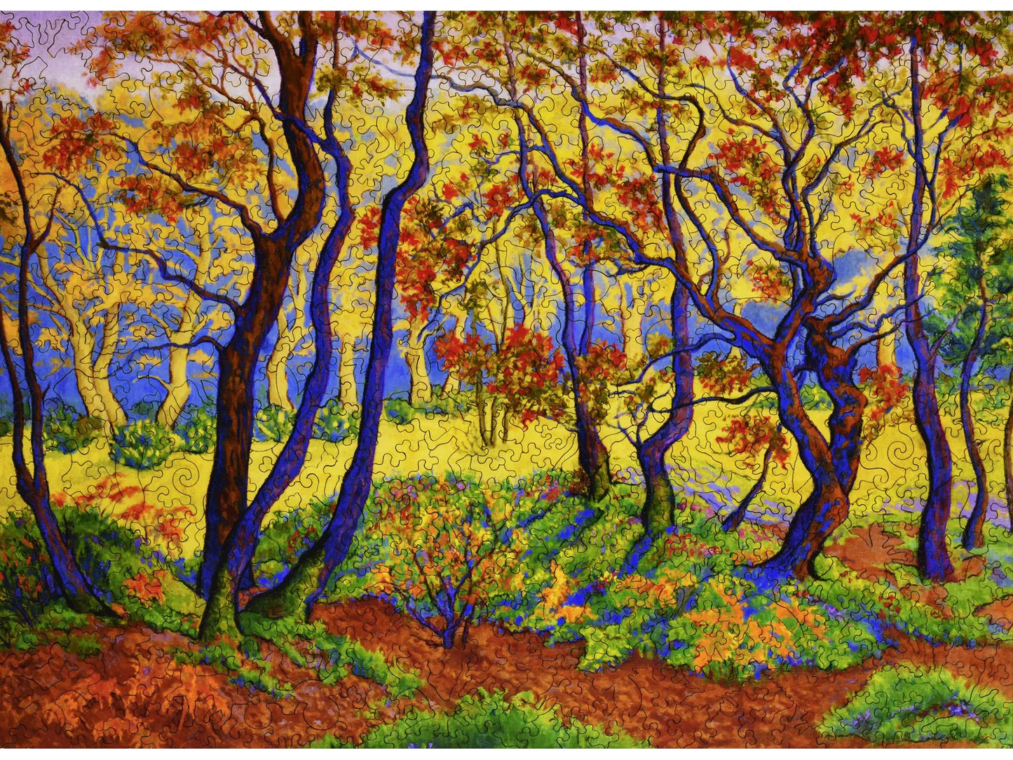 Edge of the Forest 527pc