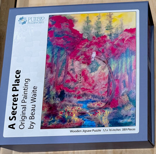 A Secret Place by Beau Waite (Multiple Piece Counts)