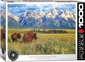 Grand Teton National Park 1000pc