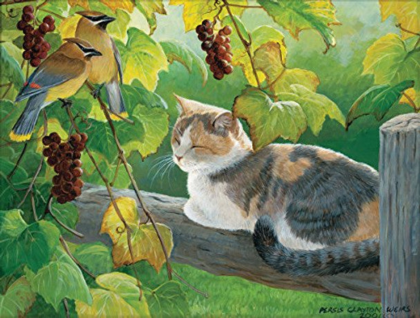 Grapevine Secrets 300pc