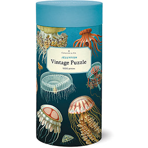 Jelly Fish 1000pc