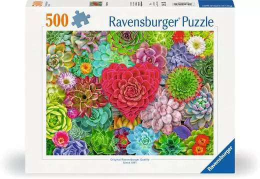Succulent Love 500pc