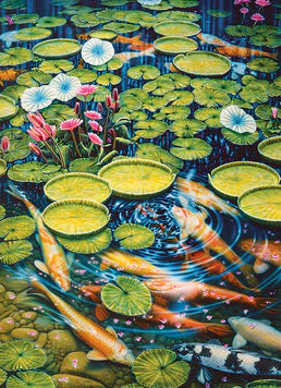 Koi Pond 1000pc