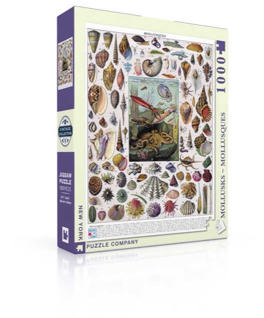 Mollusks 1000pc
