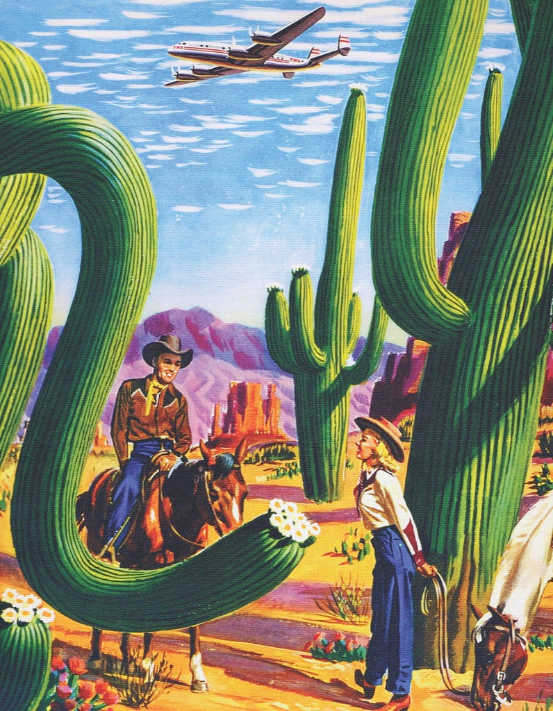 Sunset Magazine: Cactus Country Mini 100pc