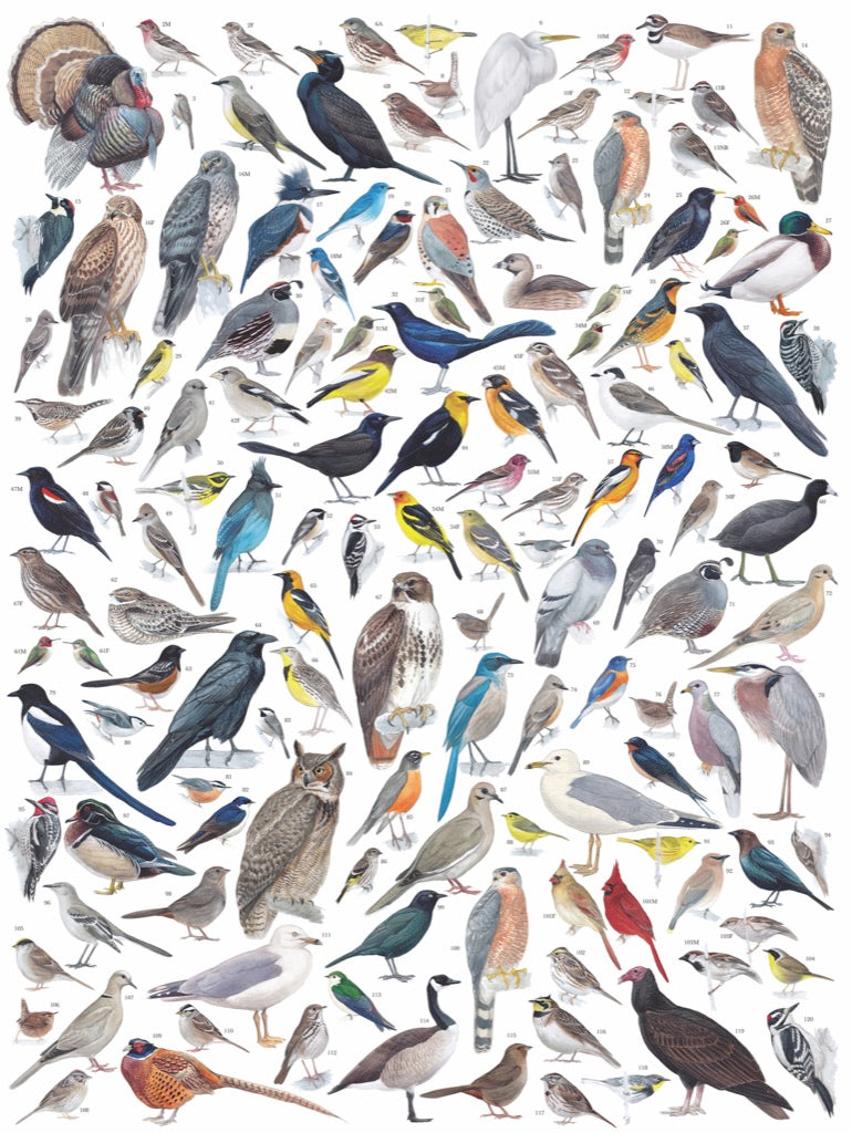 Birds of Western North America 1000pc