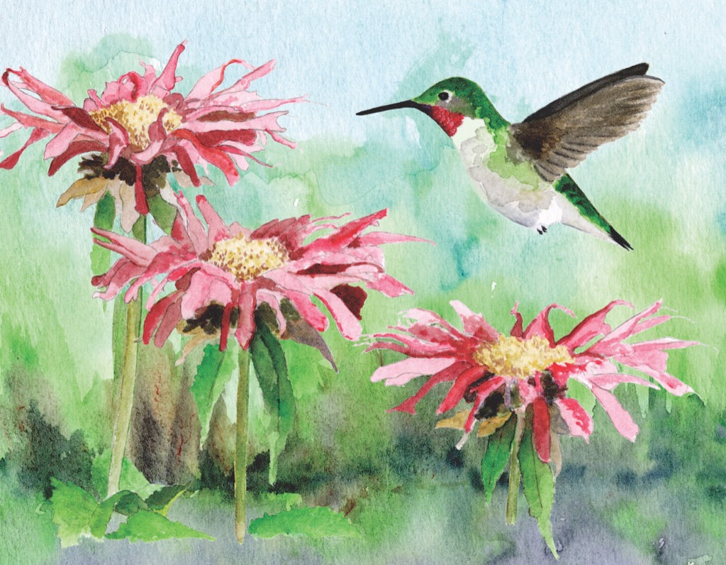 Cornell Ornithology: Ruby-throated Hummingbird Mini 100pc