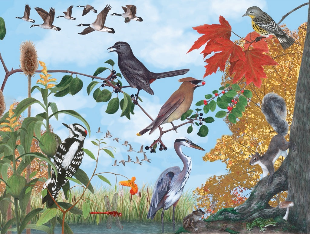 Autumn Trail 1000pc
