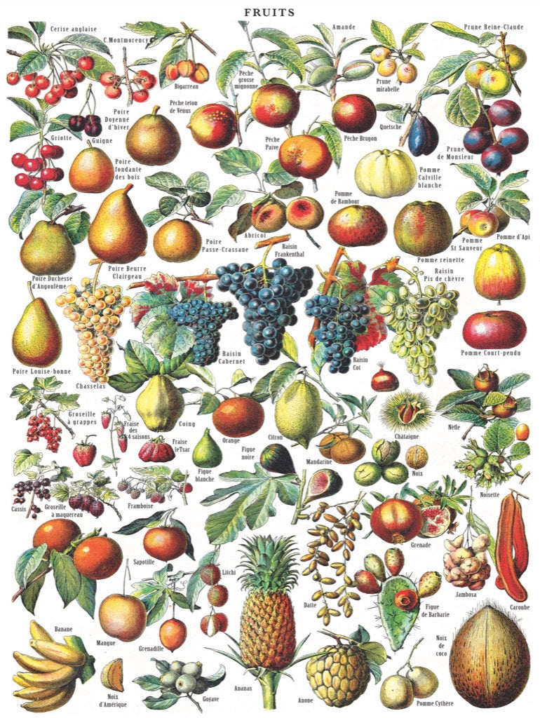 Fruits 1000pc