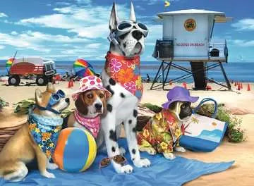 No Dogs on the Beach 100pc