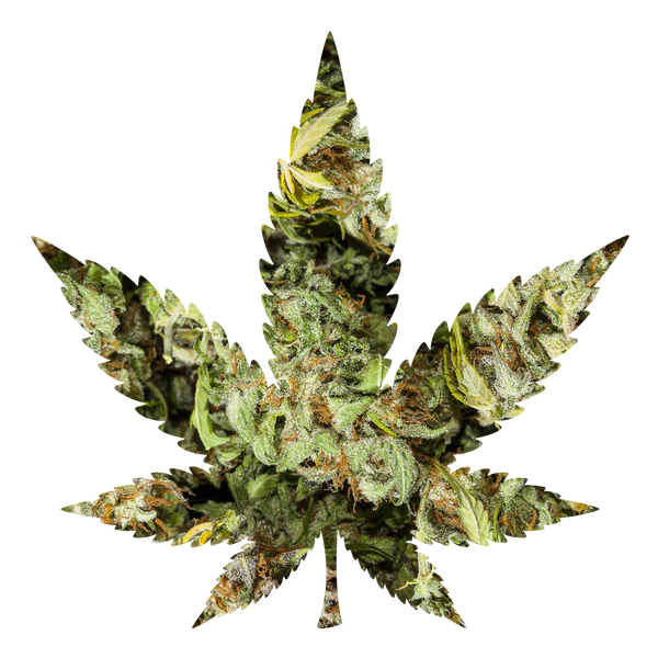 Nugget Budzzle