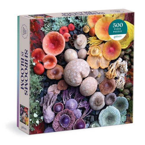 Shrooms in Bloom 500pc