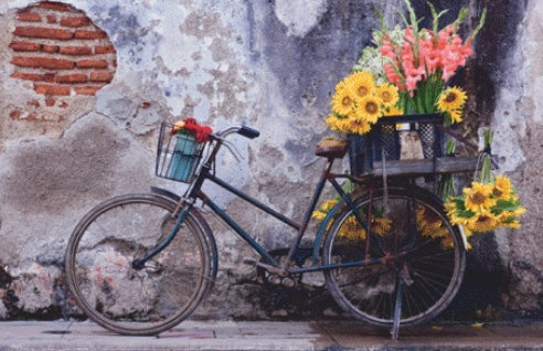 Puzzle Moment: Bicycle 200pc