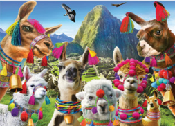 Puzzle Moment: Llama 99pc