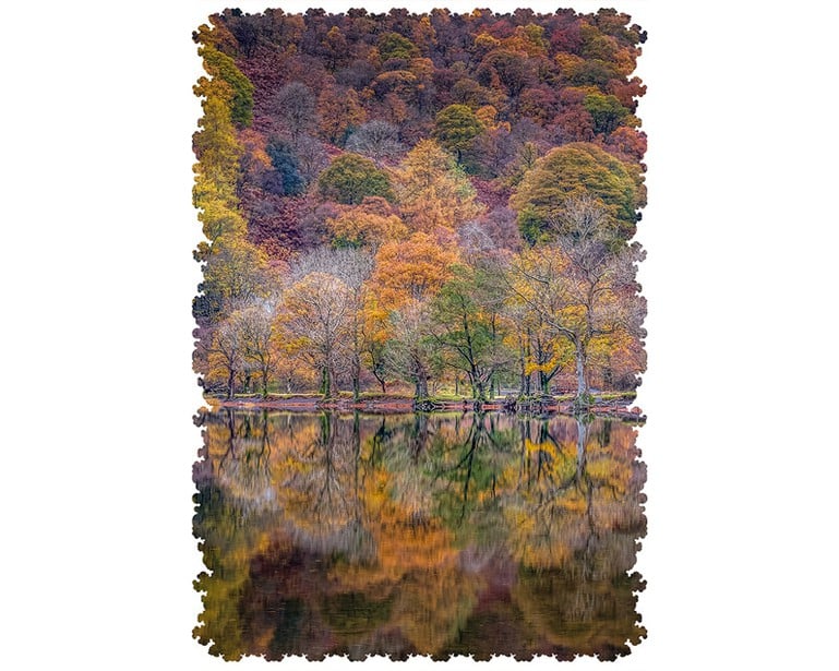 Reflections Upon Autumn 247pc