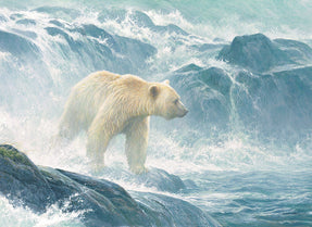 Salmon Watch Spirit Bear 500pc