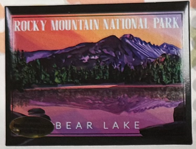 RMNP Bear Lake Geometric 1000pc