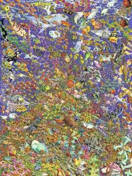 Shoal 1500pc