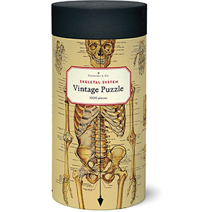 Skeletal System 1000pc