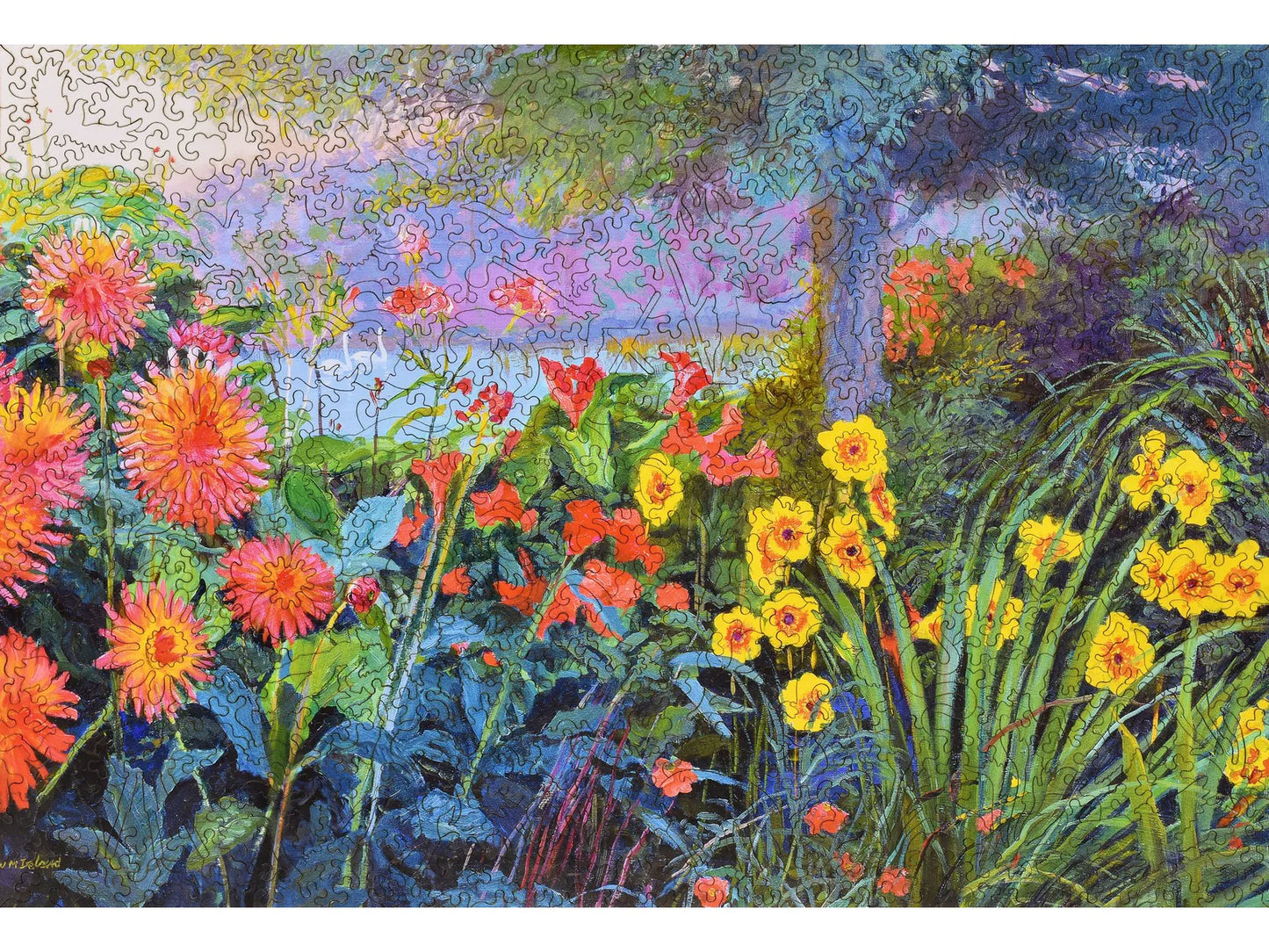 Summer Swans 584pc
