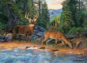 The River's Edge 1000pc