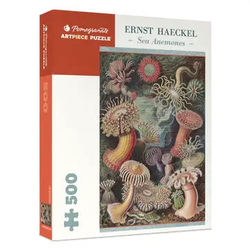 Ernst Haeckel: Sea Anenomes 500pc