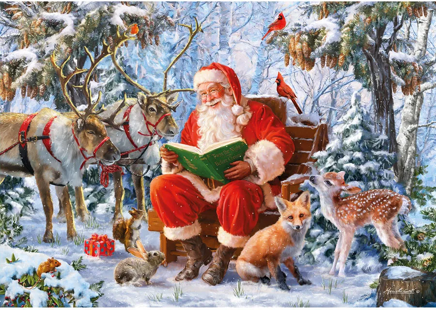 Christmas Curiosity 40pc