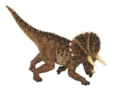 4D Triceratops Hand-Painted 24pc