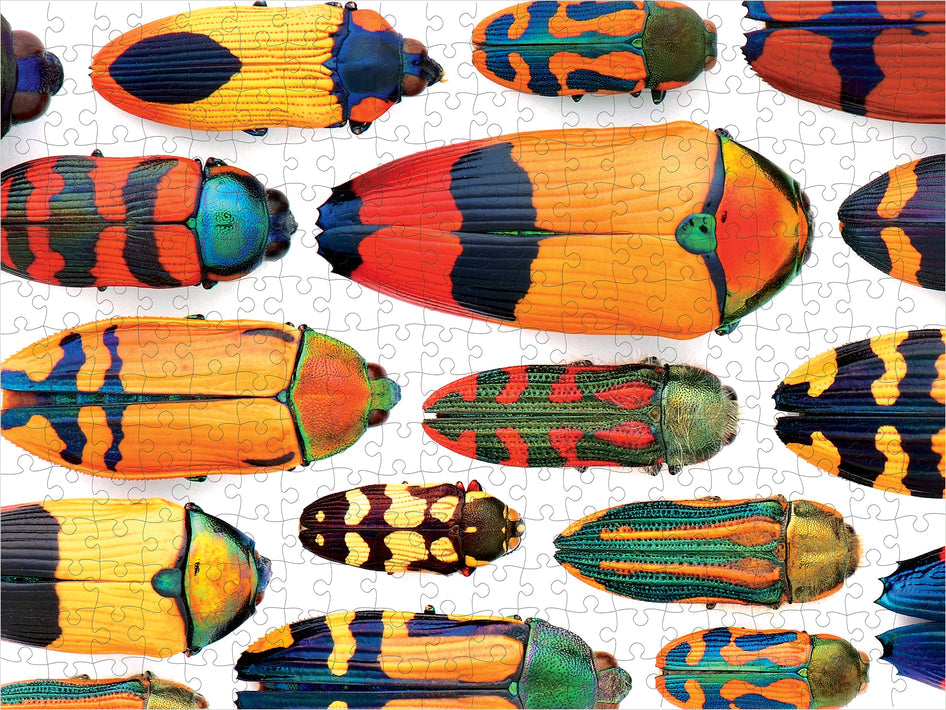 Christopher Marley: Beautiful Beetles 300pc