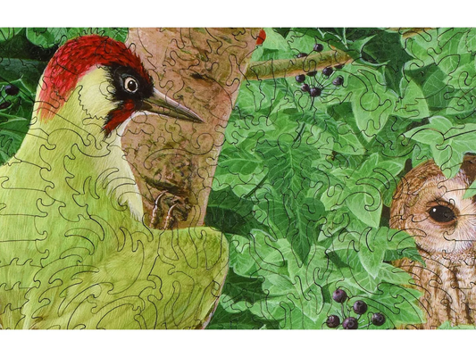 Woodpecker, Owl and Thrush 552pc