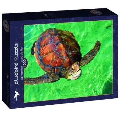 Reunion Island Sea Turtle 1000pc