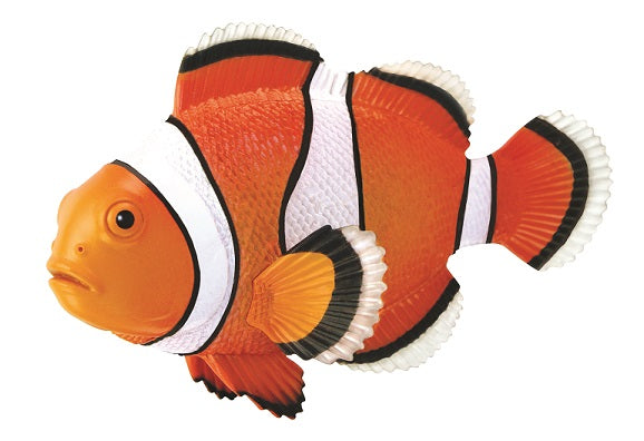 4D Clownfish Hand-Painted 18pc
