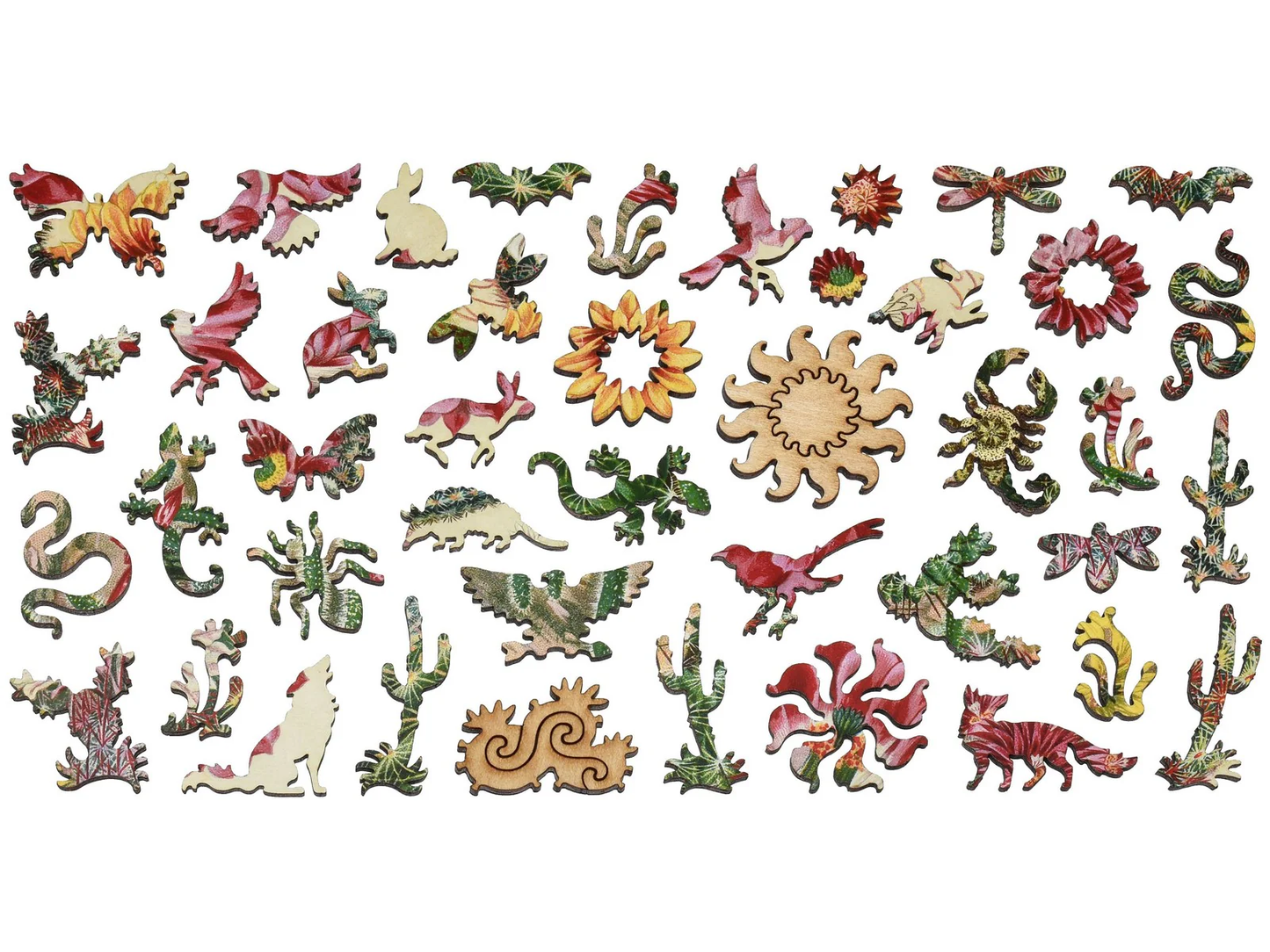 Cactus Flowers 263pc