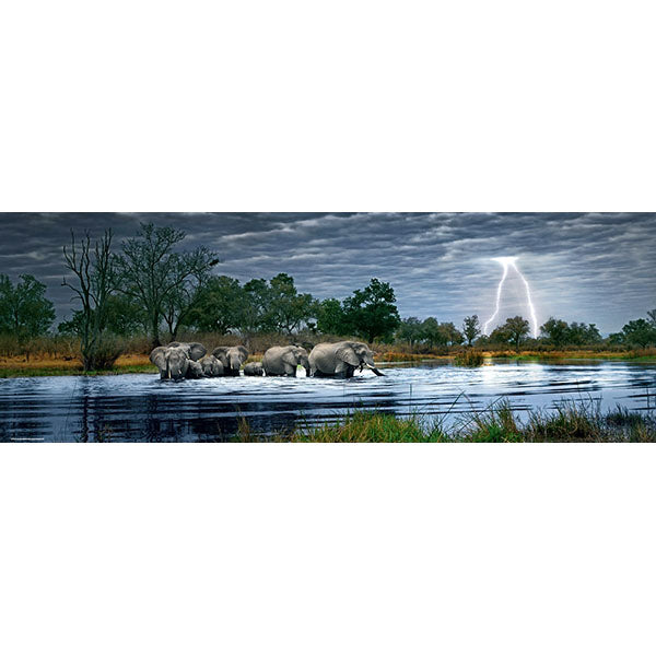 Herd of Elephants by Alexander von Humboldt Panoramic 2000pc