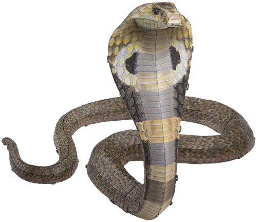Metal Earth Cobra