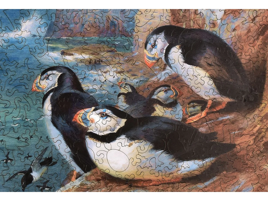 Puffins and Razor Bills 493pc