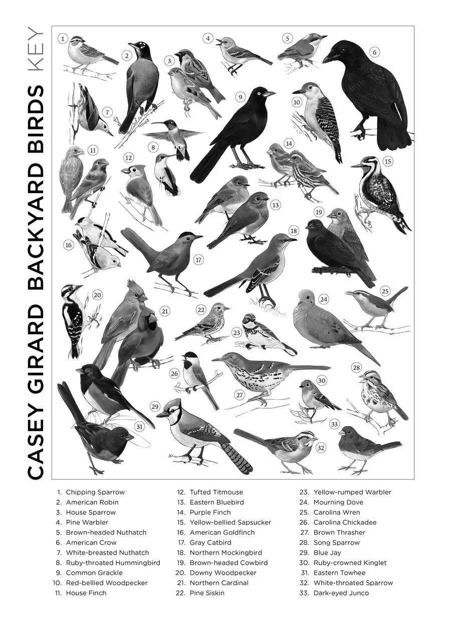 Casey Girard: Backyard Birds 1000pc