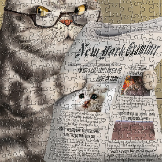Meow Time 1000pc
