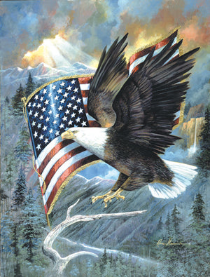 American Eagle 500pc