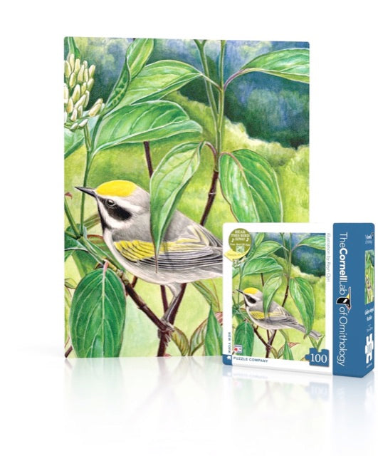 Cornell Ornithology: Golden-winged Warbler Mini 100pc